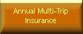 Annual Multi Trip Insurance